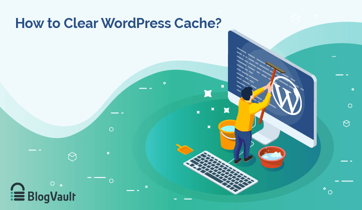 Clear WordPress Cache