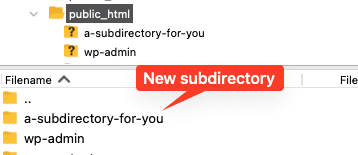 New subdirectory created under the root directory